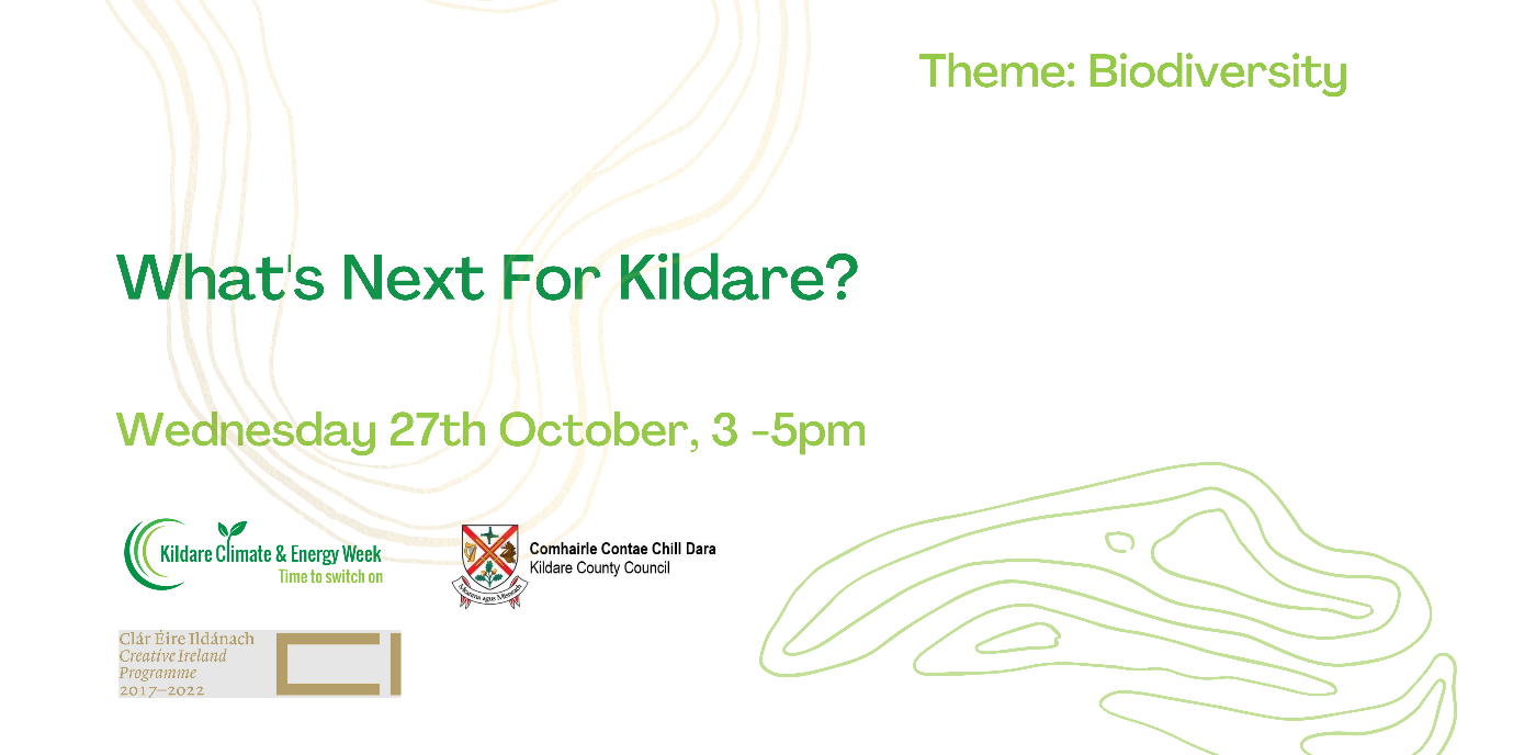 What next for Kildare